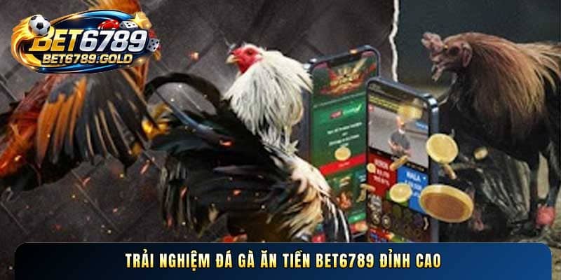 Trải nghiệm Đá gà ăn tiền BET6789 đỉnh cao