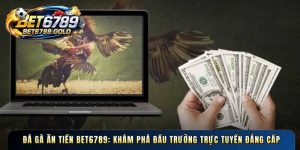 Đá gà ăn tiền BET6789: Khám phá đấu trường trực tuyến đẳng cấp