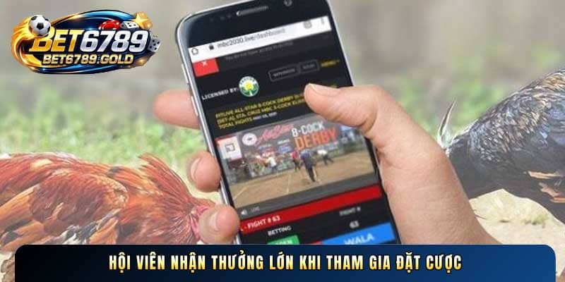 Hội viên nhận thưởng lớn khi tham gia đặt cược