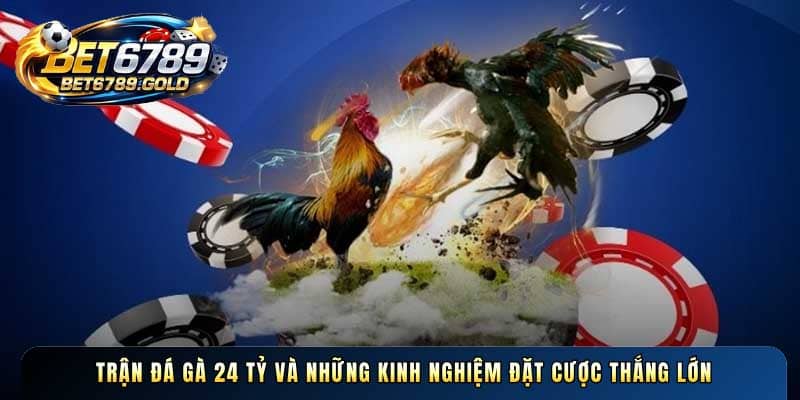 Trận đá gà 24 tỷ và những kinh nghiệm đặt cược thắng lớn